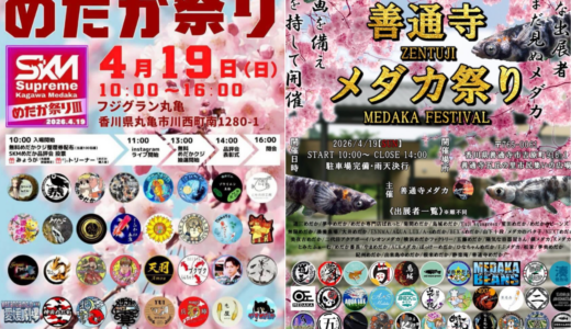 丸亀市と善通寺市で「めだか祭り」が2026年4月19日(日)に同時開催！週末はメダカが激アツ！豪華出店者も一挙紹介